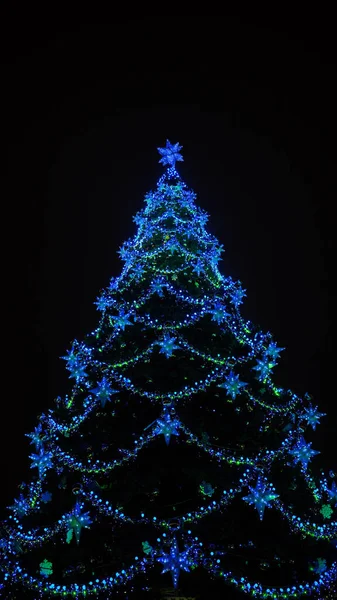 Akşam sokağındaki Noel ağacı. Düşük açılı kozalaklı ağaç ve geleneksel Noel süslemeleri akşam kentte sokakta bulunuyor..