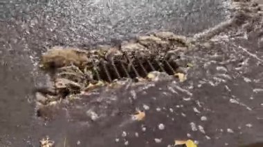 Yağmur suyu drenaj sistemi. Yağmur yağışları kanalizasyona akar. Kapat.