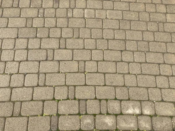 Textur Våtmarksplattor Närbild Trottoaren Efter Regn — Stockfoto