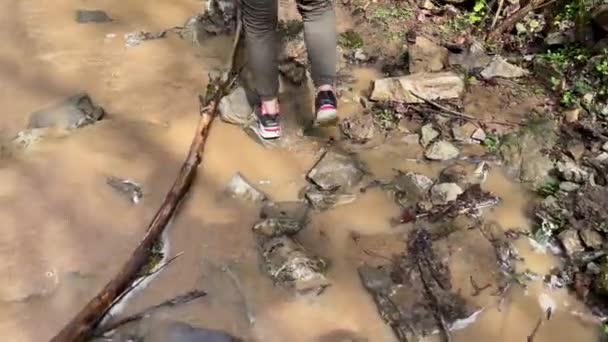 Vista Trasera Joven Mujer Cruzar Río Con Cuidado Sobre Piedras — Vídeo de stock