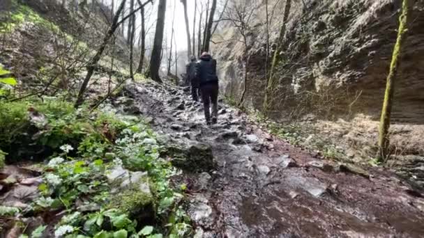 Bakifrån Turister Stiger Försiktigt Stenig Och Bergig Terräng Grupp Människor — Stockvideo