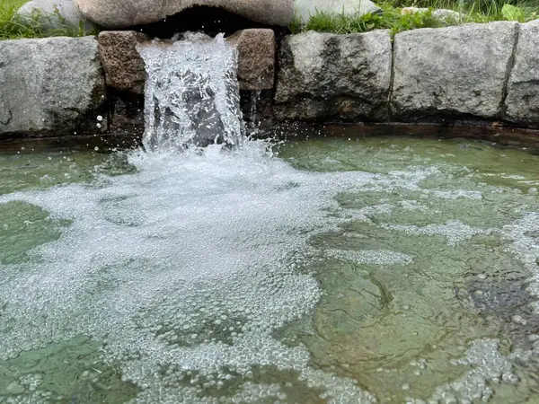 Декоративный Пруд Парке Вода Течет Маленький Пруд — стоковое фото