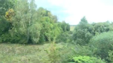 Doğa geri planda. Hareket halindeki trenden doğanın görüntüsü.