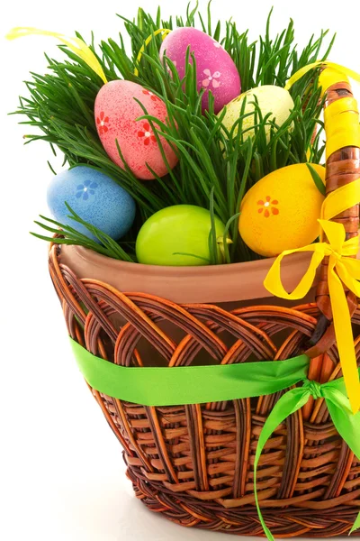 Koš s velikonoční vejce a čerstvé trávy — Stock fotografie
