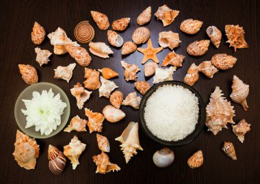 Arka plan soyut spa, deniz tuzu, çiçek