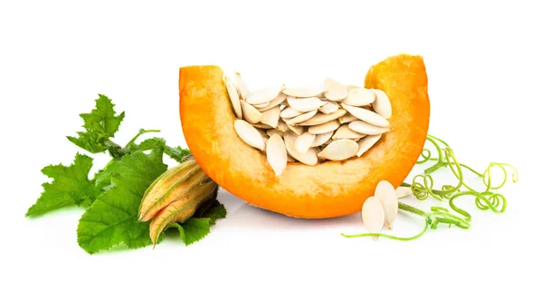 Pumpkin with pumpkin seeds — Stock Photo, Image