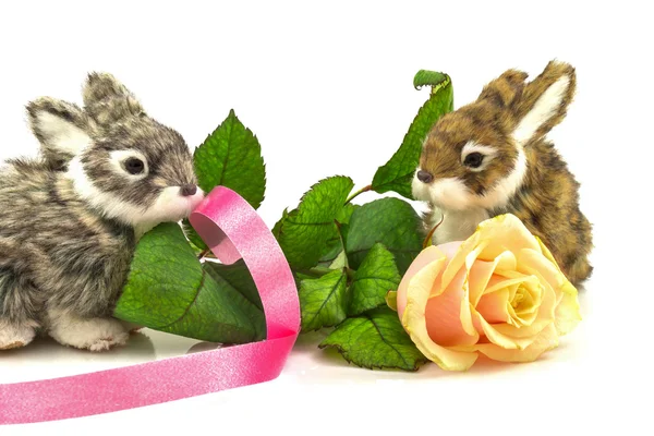 Rabbits with rose and ribbon — Stock Photo, Image