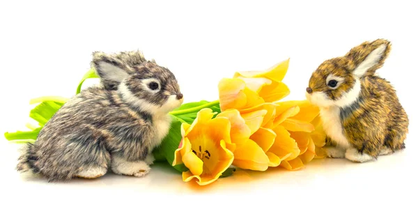 Rabbits with flowers tulips — Stock Photo, Image