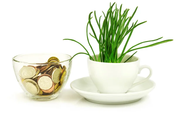 Geld in Schale und Gras in weißer Tasse — Stockfoto