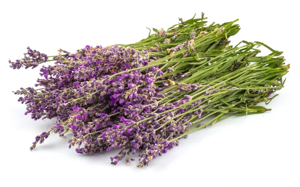Bouquet von Lavendel in Nahaufnahme — Stockfoto