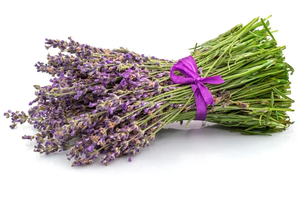 Bouquet of lavender with ribbon — Stock Photo, Image