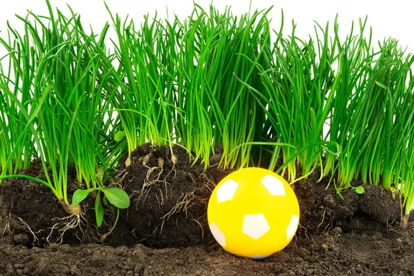 Yellow ball, grass and soil — Stock Photo, Image