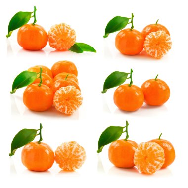 Grup olgun mandalina