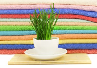 Spa konsept çim ve havlu ile