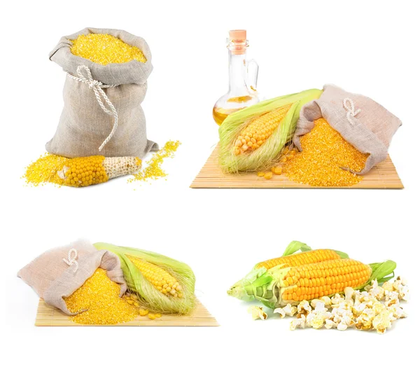 Corn, oil and maize flour — Stock Photo, Image