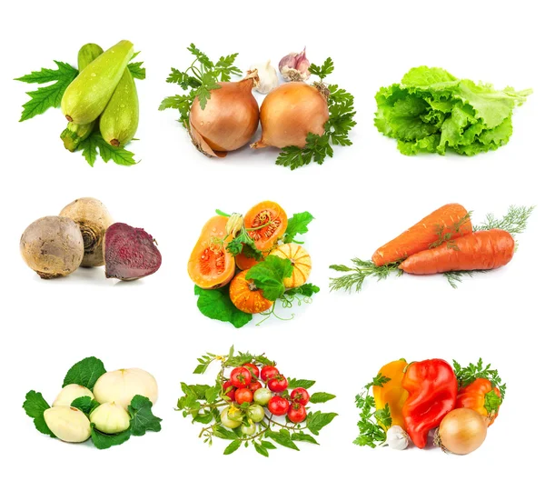Набір свіжих овочів — стокове фото