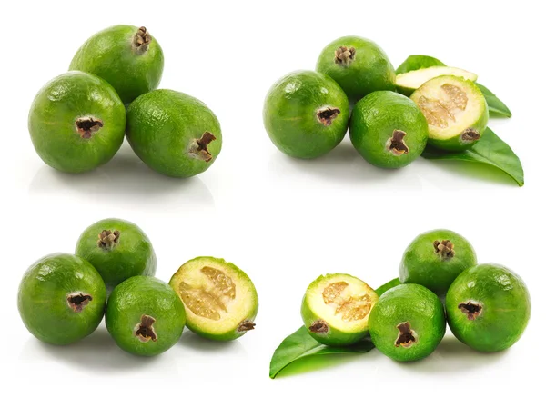 Feijoa fruit set — Stock Photo, Image