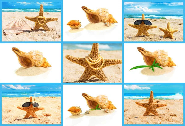 Spa concept with seashells — Stock Photo, Image