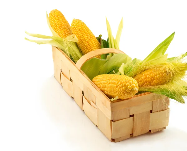 Érett kukorica zöld levelekkel — Stock Fotó