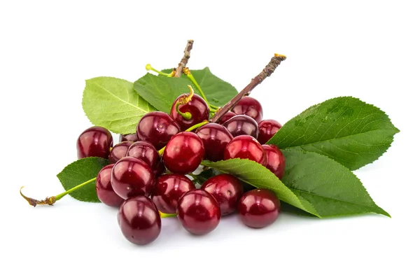 Sweet cherries with leaves — Stock Photo, Image
