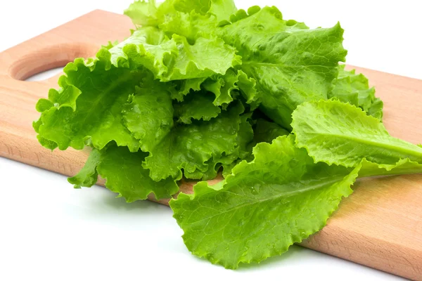 Fejes saláta, a vágódeszka — Stock Fotó