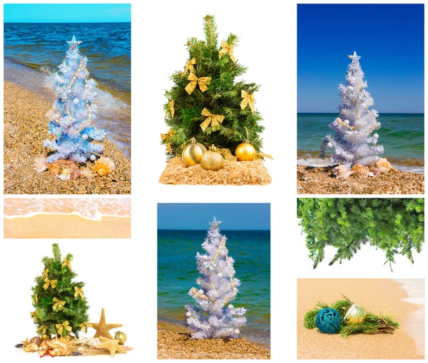 Süslemeleri ile Noel ağaçları — Stok fotoğraf