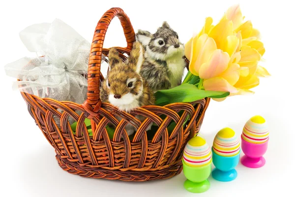 Easter springtime concept — Stock Photo, Image