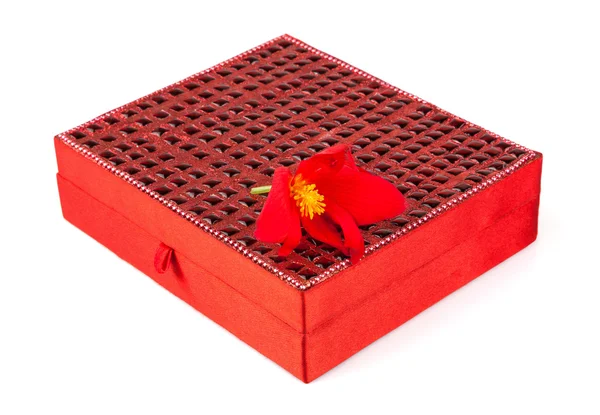 Red box with beautiful flower — Stock Photo, Image