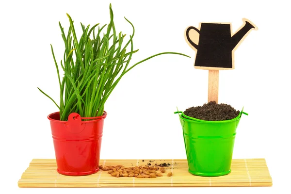 Gardening concept with grass — Stock Photo, Image