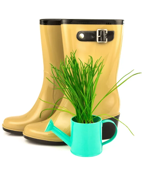 Rubber yellow boots — Stock Photo, Image