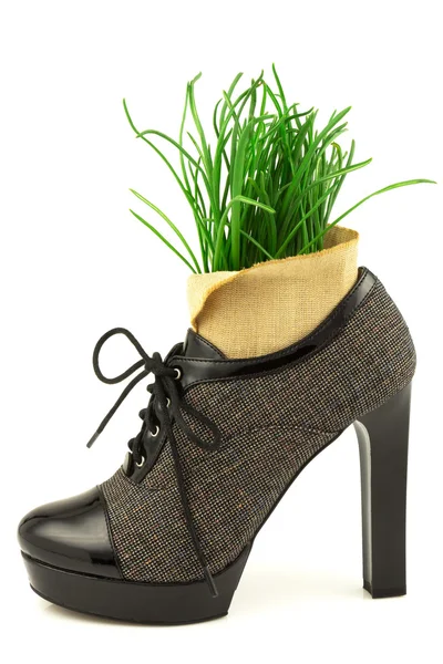 Fresh grass and boot — Stock Photo, Image