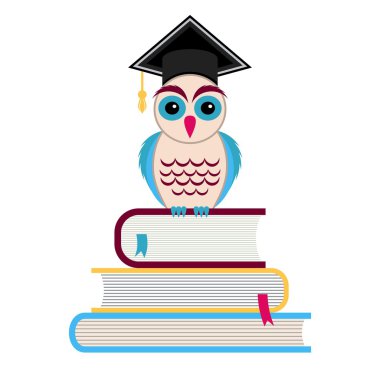 Mezuniyet kep ve baykuş