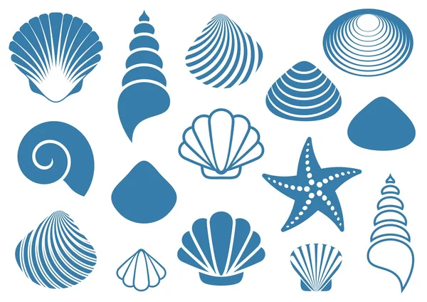 Sea shells — Stock Vector