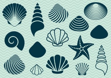Sea shells clipart