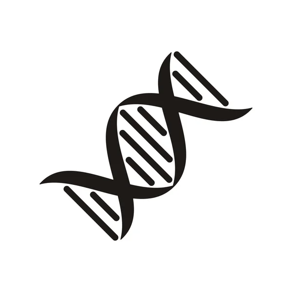 DNA molecule icon — Stock Vector