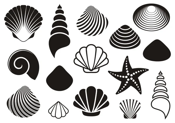 Coquilles de mer et étoiles de mer — Image vectorielle