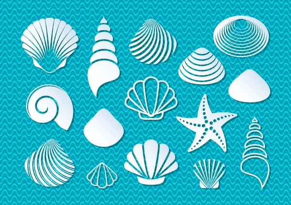 Iconos de conchas marinas blancas — Vector de stock