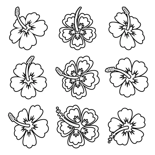 Vector hibisco iconos de contorno de flores — Archivo Imágenes Vectoriales