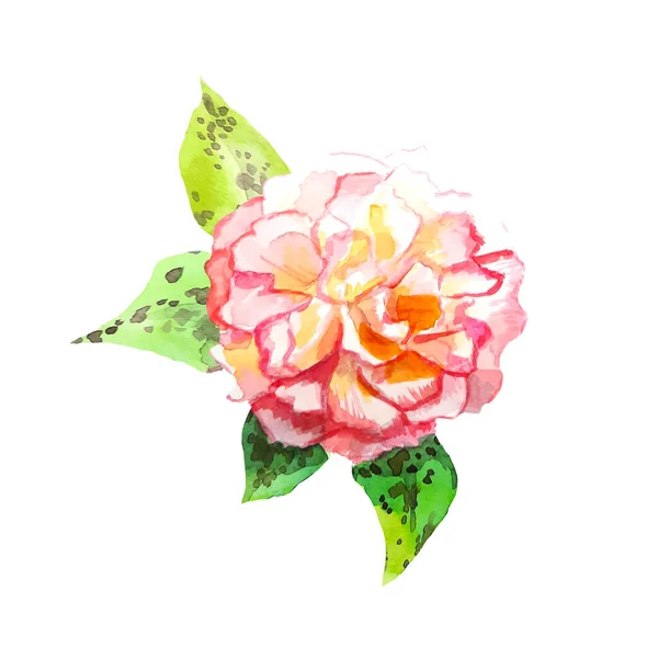 Colorato Fiore Dipinto Mano Biglietto Auguri Disegno Stampa Elemento Floreale — Foto Stock