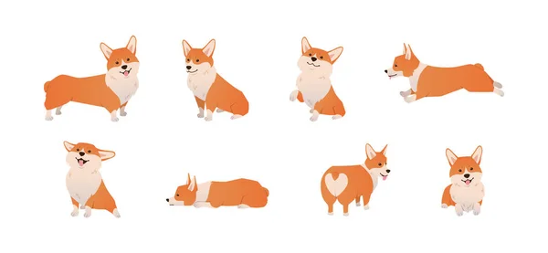 Cartoon Pembroke Welsh Corgi Illustration Verschiedenen Posen Netter Sitzender Laufender — Stockvektor