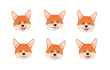 Galli Corgi yüz ifadeleri. Beyaz arka planda gülümseyen köpek kafaları seti. Mutlu sevimli hayvanın vektör çizimi