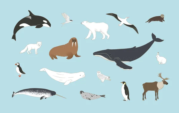 Animales Polares Colocados Sobre Fondo Azul Vector Aves Árticas Mamíferos — Vector de stock