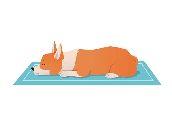 Симпатичный Вектор Спящей Собаки Валлийский Щенок Корги Отдыхает Голубом Ковре — стоковый вектор