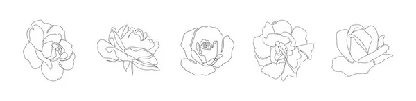 Sada Krásných Minimalistických Kontinuálních Květin Bílém Pozadí Vektoru Line Art — Stockový vektor
