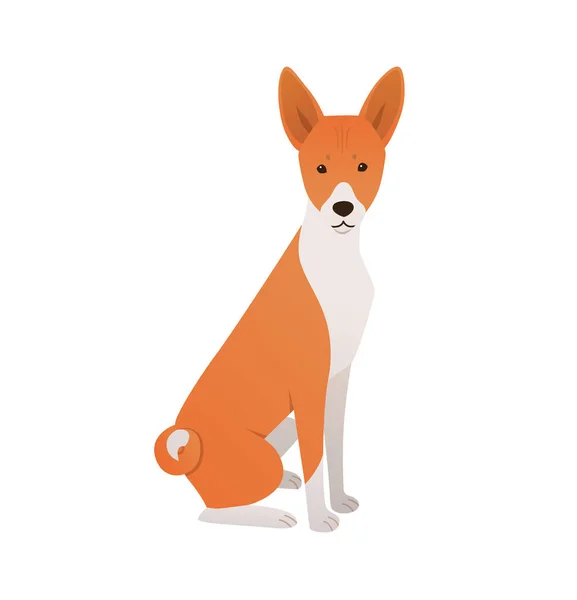 Basenji Dog Cartoon Vector Illustration Cute Friendly Pet Sitting Flat — Stock Vector