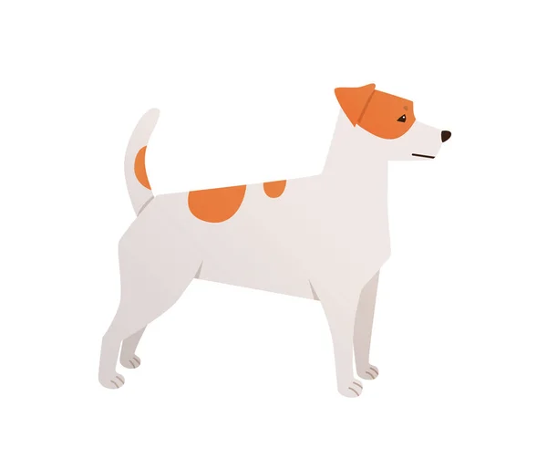 Jack Russell Terrier Vecteur Illustration Plate Chien Dessin Animé Chien — Image vectorielle