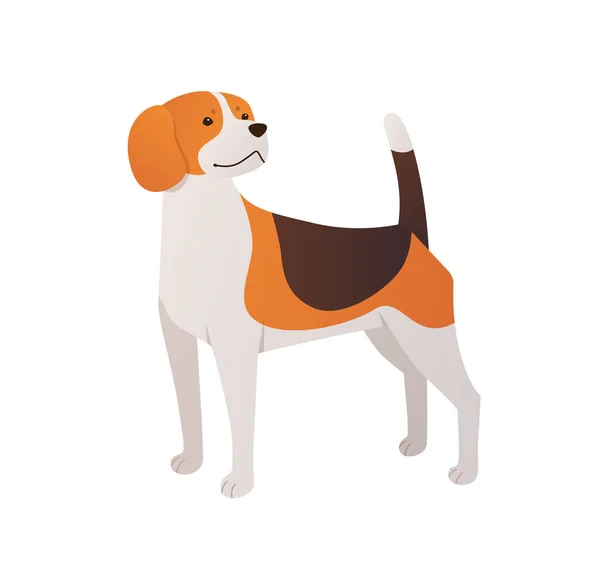 Beagle Cartoon Illustration Pet Dog Flat Vector Isolated White Background — Stok Vektör