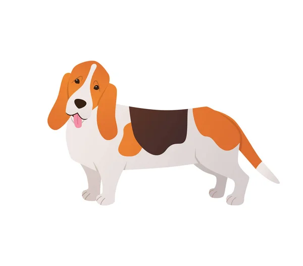 Basset Hound Vector Illustration Hunting Dog Cartoon Short Legs Isolated — Image vectorielle