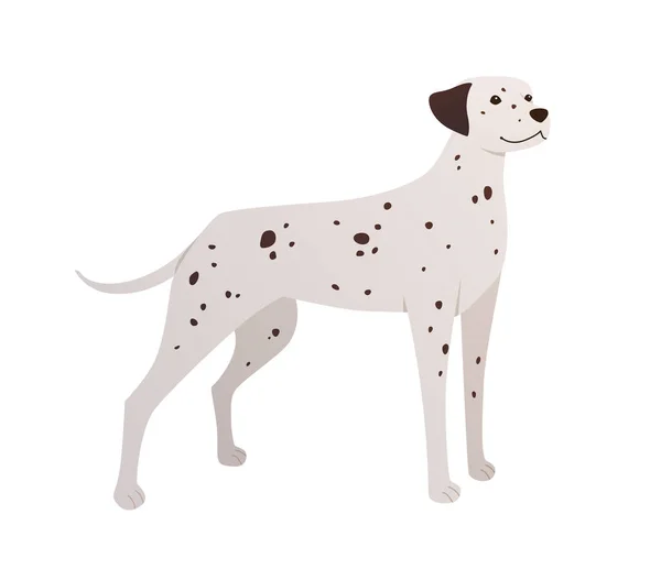 Dalmatian Dog Isolated White Background Vector Illustration Flat Cartoon Style — Stock Vector