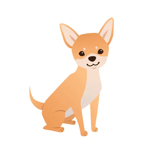 Leuke Chihuahua Vector Illustratie Witte Achtergrond Kleine Hond Karakter Platte — Stockvector